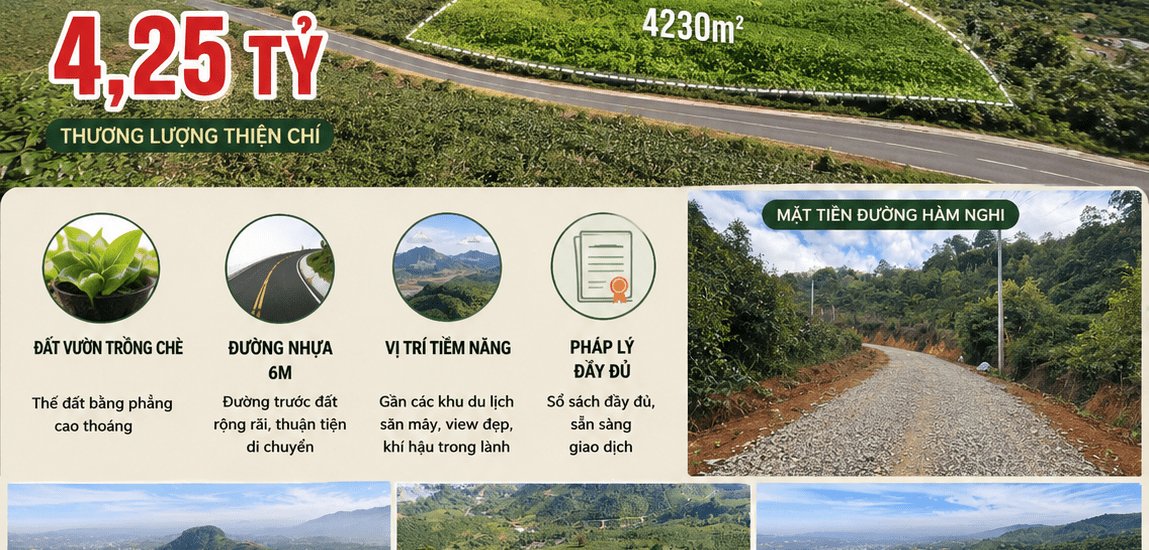 [A127] 4.25 TỶ - 4230M2 ĐẤT VƯỜN CHÈ VIEW ĐẸP MẶT TIỀN HÀM NGHI GẦN KHU SĂN MÂY, CÁCH VICOM 13KM