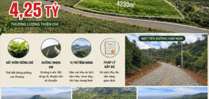 [A127] 4.25 TỶ - 4230M2 ĐẤT VƯỜN CHÈ VIEW ĐẸP MẶT TIỀN HÀM NGHI GẦN KHU SĂN MÂY, CÁCH VICOM 13KM