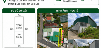 [A045] 1,8 TỶ - 175M2 ĐẤT THỔ CƯ SỔ HỒNG RIÊNG MẶT TIỀN LÊ LAI, GẦN GIÁO XỨ TÂN HÀ
