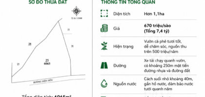 [A109] 7,4 TỶ - 6065M2 VƯỜN CÀ PHÊ QUY MÔ LỚN PHƯỜNG B'LAO BẢO LỘC GẦN NÚT GIAO CAO TỐC