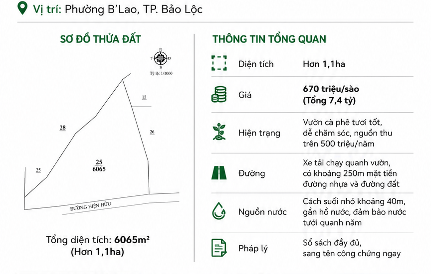 [A109] 7,4 TỶ - 6065M2 VƯỜN CÀ PHÊ QUY MÔ LỚN PHƯỜNG B'LAO BẢO LỘC GẦN NÚT GIAO CAO TỐC
