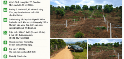 [A117] 1,250 TỶ - 534 M2 - ĐẤT PHƯỜNG 1 BẢO LỘC VIEW ĐẸP, GẦN TRƯỜNG, SỔ SẴN CÔNG CHỨNG NGAY