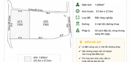 [A129] 900 TRIỆU - 1.000M2 ĐẤT NÔNG NGHIỆP VUÔNG VỨC PHƯỜNG BLAO BẢO LỘC ĐỐI DIỆN PHÒNG TRÀ HƯƠNG B'LAO