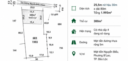 [A132] 5,5 TỶ - 1993M2 ĐẤT THỔ CƯ SỔ HỒNG RIÊNG MẶT TIỀN NGUYỄN BIỂU, GẦN CHỢ LỘC NGA