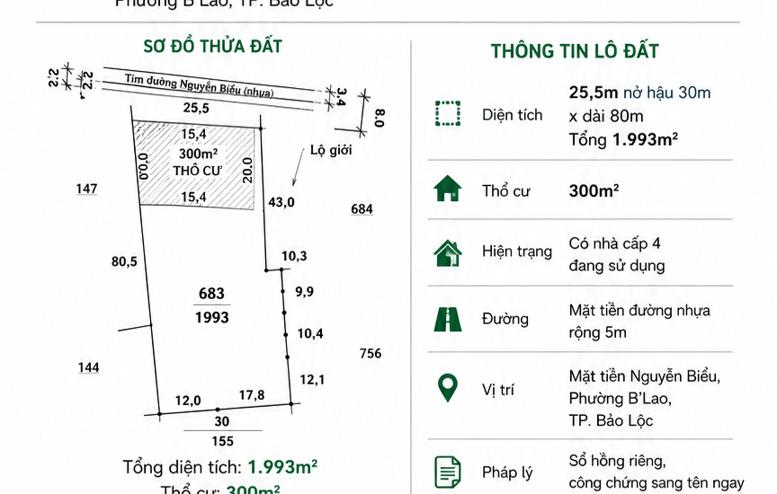 [A132] 5,5 TỶ - 1993M2 ĐẤT THỔ CƯ SỔ HỒNG RIÊNG MẶT TIỀN NGUYỄN BIỂU, GẦN CHỢ LỘC NGA