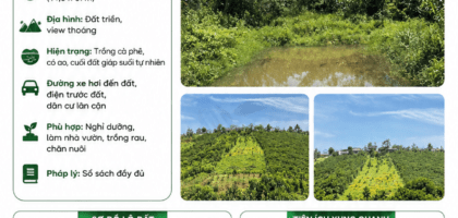 [A139] 900 TRIỆU - 1000M2 ĐẤT VIEW SUỐI, CÓ AO TỰ NHIÊN PHƯỜNG 2 BẢO LỘC GẦN CHỢ LỘC TÂN