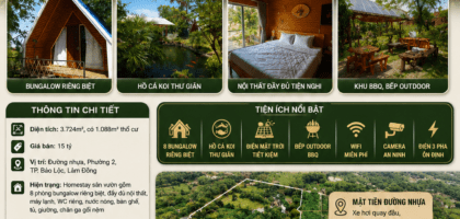 [A114] 15 TỶ - 3.724M2 ĐẤT THỔ CƯ - HOMESTAY SÂN VƯỜN ĐẸP, KHAI THÁC NGAY TẠI BẢO LỘC