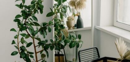 Bí quyết bố trí phòng khách chuẩn phong thủy giúp gia chủ chiêu tài đón lộc