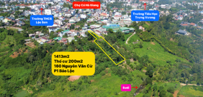 ĐẤT TRUNG TÂM PHƯỜNG 1 BẢO LỘC