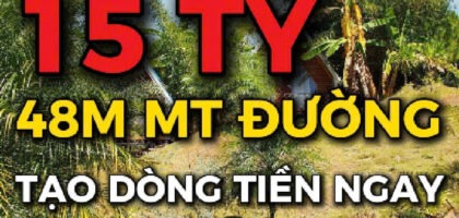Homestay Sân Vườn 3724m2 Thổ Cư, Khai Thác Ngay Bảo Lộc