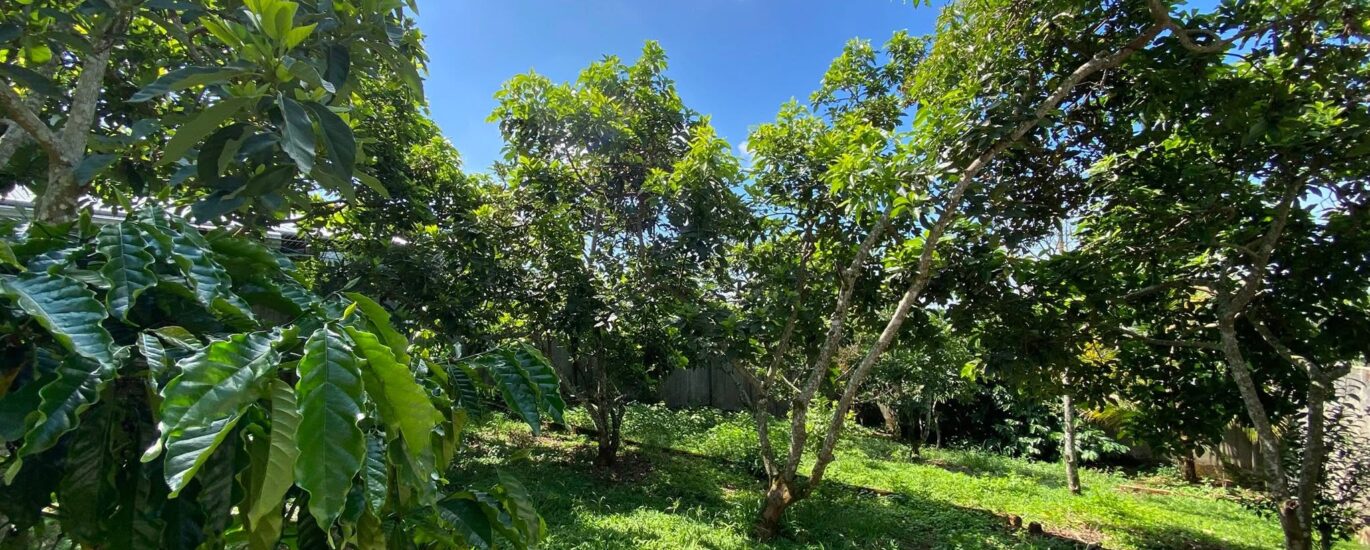 3,5 TỶ - 693M2 ĐẤT THỔ CƯ SỔ HỒNG RIÊNG MẶT TIỀN ĐƯỜNG VŨ TRỌNG PHỤNG CÁCH NÚT GIAO CAO TỐC 1.5KM