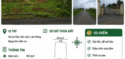 [A158] 550 TRIỆU - 187,2M2 ĐẤT THỔ CƯ NGAY KHU DÂN CƯ LỘC ĐỨC BẢO LỘC GẦN CHỢ TRƯỜNG HỌC