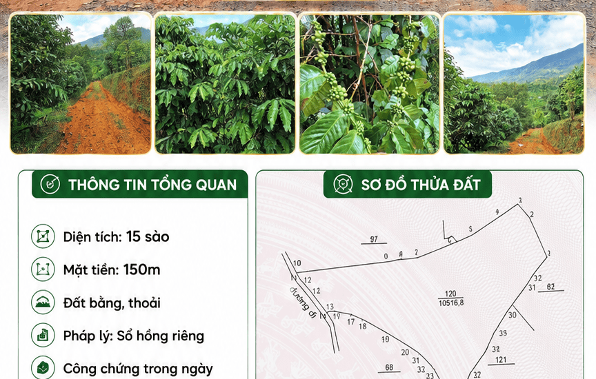 [A175] 4,2 TỶ - 15 SÀO ĐẤT BẰNG THOẢI SỔ HỒNG RIÊNG MẶT TIỀN 150M GẦN SUỐI