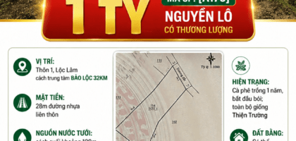 [A176] 1 TỶ - 2,5 SÀO ĐẤT BẰNG MẶT TIỀN ĐƯỜNG NHỰA CÀ PHÊ ĐANG BỔI